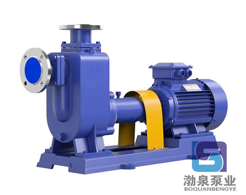 ZW250-420-20_不銹鋼自吸排污泵